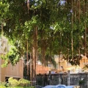 �������������