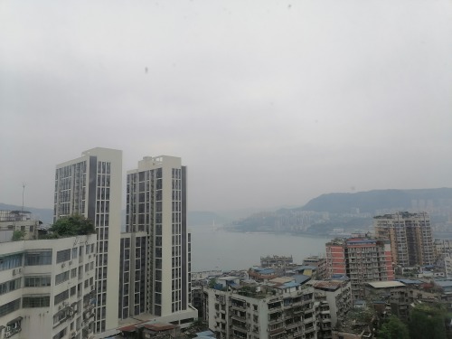 IMG_20210410_131410.jpg