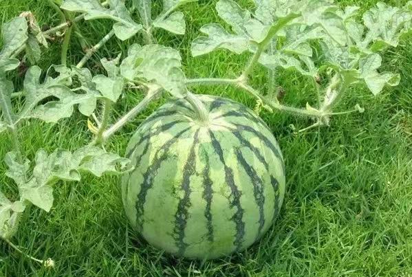΢��ͼƬ_20230624001524.jpg