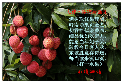 97c26e6e19f669bf28afb1f4bcf7e167_����.png
