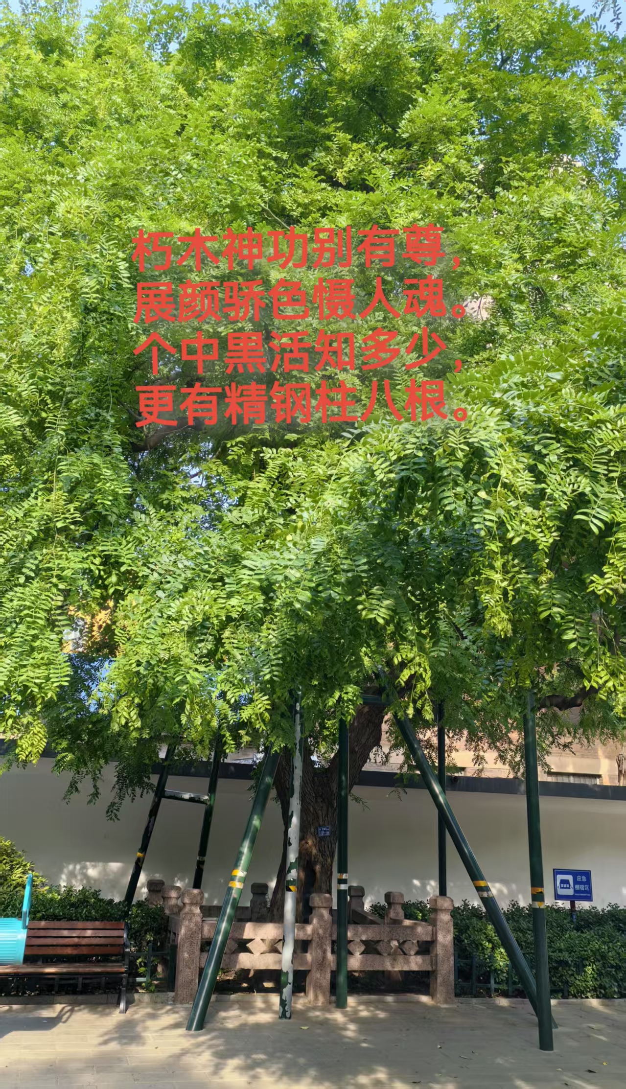 ΢��ͼƬ_20250506195844.jpg