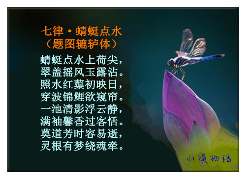 fd5a128b554618cbc7753e42236c00bd_����.jpg