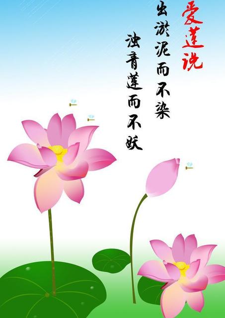 0e502037ace556212e9322180fae8b51~640x640.jpg