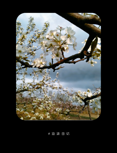 IMG_20260406_184730.png